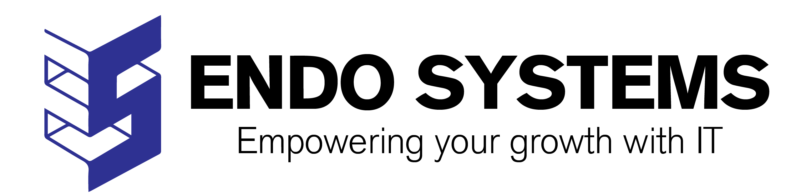 Endo Systems Logo
